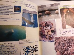 IMG_20250117_162936