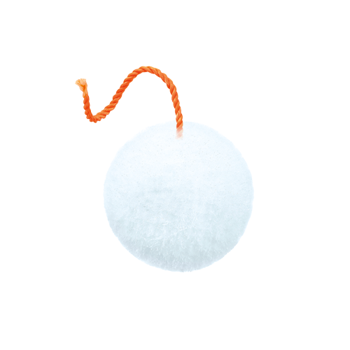 BOULE_DE_NEIGE_WEB_SS_FOND