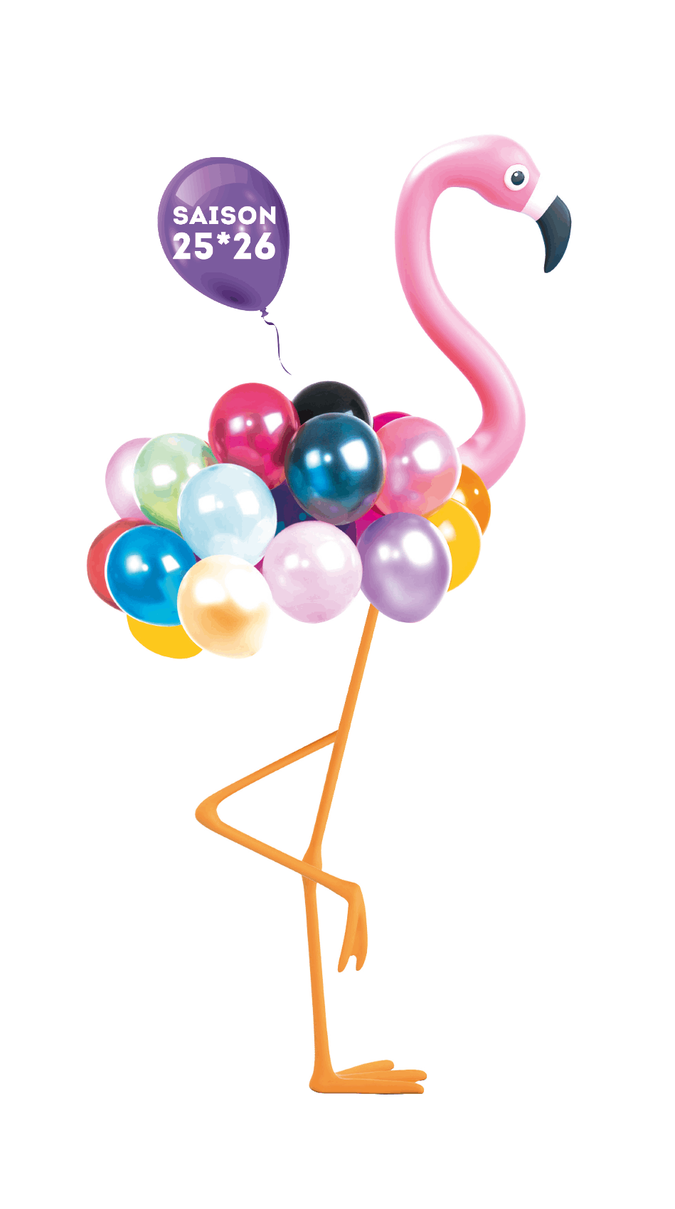 Flamant_ballon_saison_web Flamant_ballon_saison_web