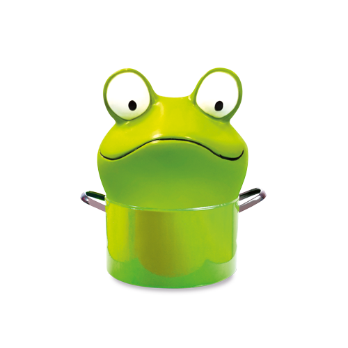 GRENOUILLES_WEB_SS_FOND