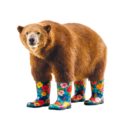 OURS_SSFOND_WEB