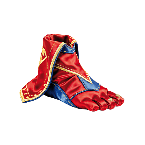 PIEDS_SSFOND_WEB