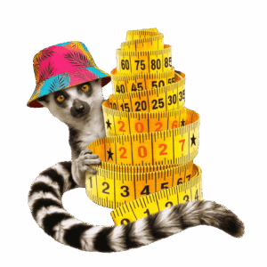 TTT_bob_color_web