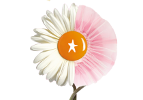 FLEUR_2022_WEB